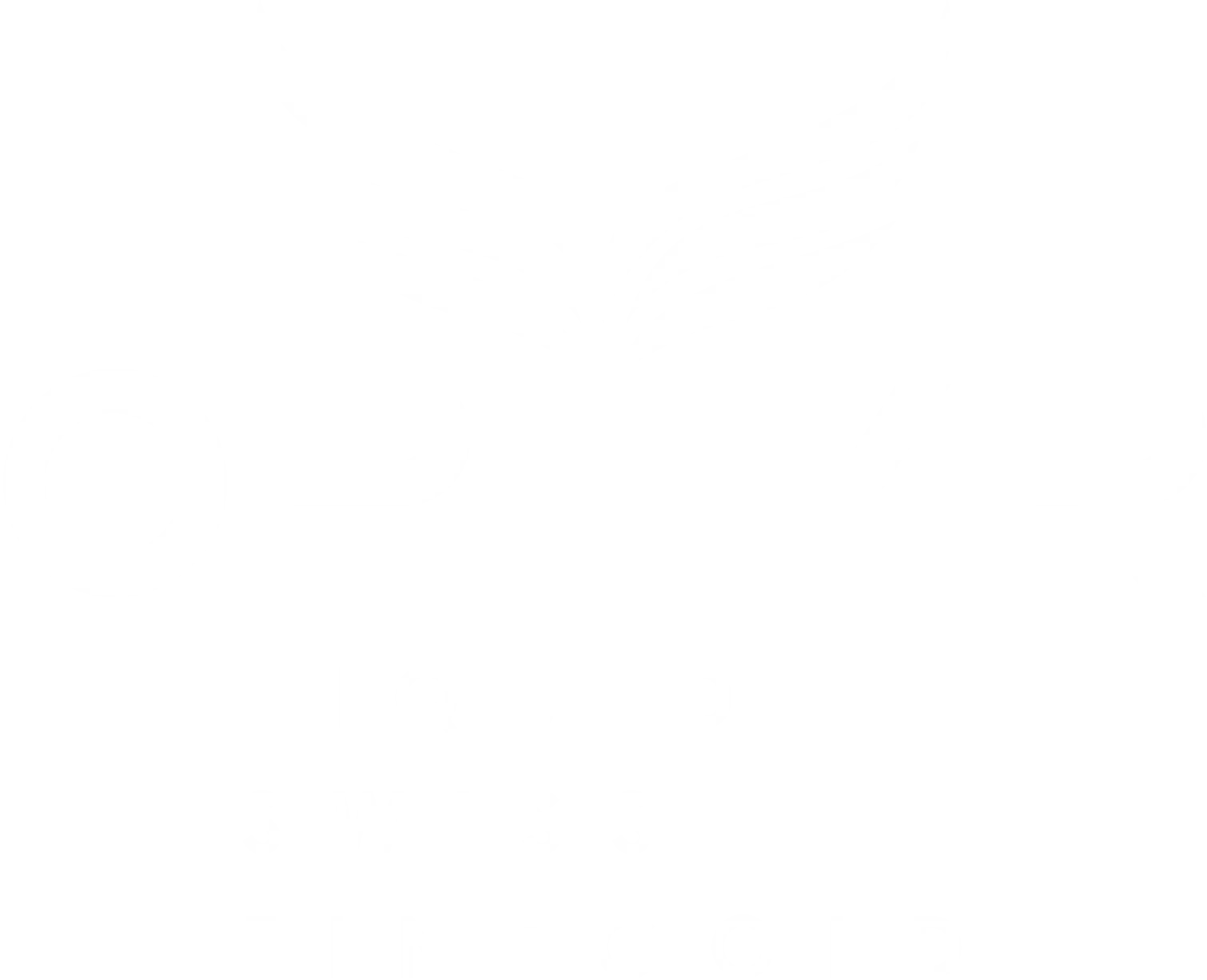 Ophyr Signet Logo